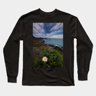 Wild Daisy Blooming on the Cliffs of Northern California Long Sleeve T-Shirt